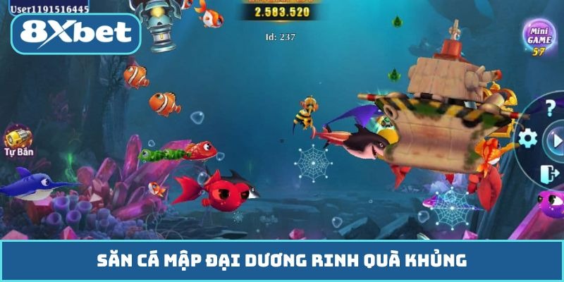 Săn cá mập đại dương rinh quà khủng