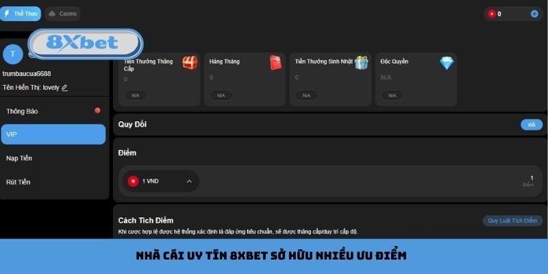 Nhà cái uy tín 8xbet sở hữu nhiều ưu điểm vượt trội